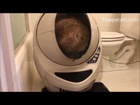 Litter Robot for