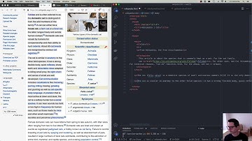 WEB222 Week 06 Part 1 - HTML Block Elements