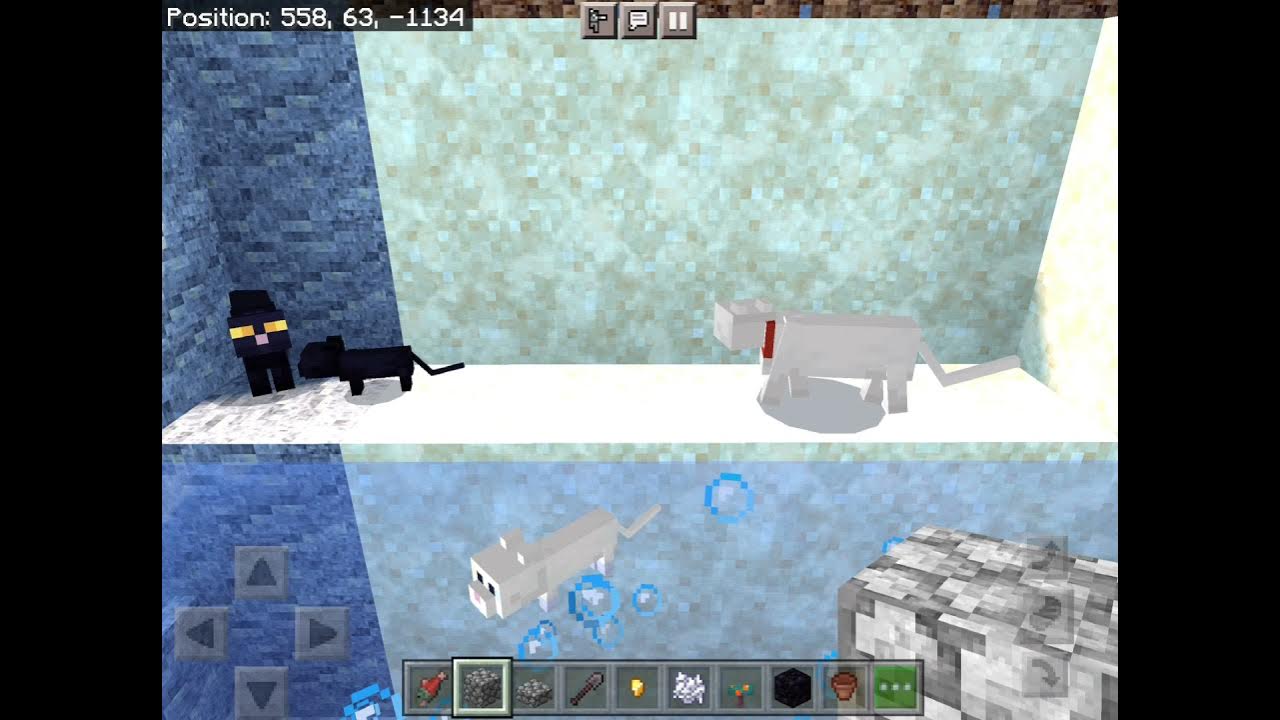 I Have The Rarest Cat In Minecraft! YouTube