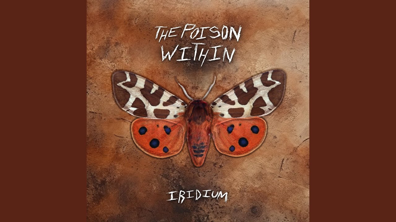 Weather Vane YouTube