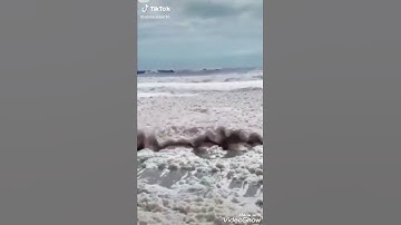 البحر من آيات الله فقولوا سبحان الله