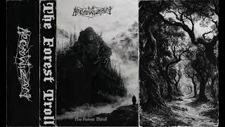 NecroWizard - The Forest Troll #necrowizard #blackmetal #folkblackmetal