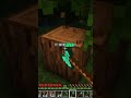 Minecraft Glitch They Don't Want You To Know 🐛 #shorts