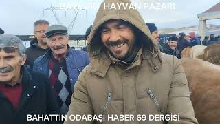 BAYBURT HAYVAN PAZARI ÇOK HAREKETLİ