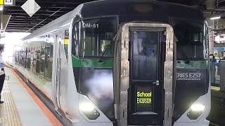 【日光集約臨】JR E257系5500番台宮オオOM-51編成 8841M 修学旅行幕 日光行 川崎駅発車！