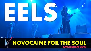 EELS  - Novocaine For The Soul (Live in Amsterdam 2023) 4K