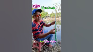 Review Cần Câu Giá Rẻ Trúc Xanh #Shorts