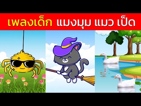 เพลงเด็ก แมงมุมลายตัวนั้น หนูมาลีมีลูกแมวเหมียว เป็ดก้าบก้าบ | kiku land
