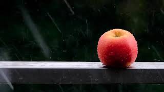 Apple Rain Iris Siri