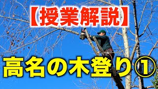 【授業解説】高名の木登り①