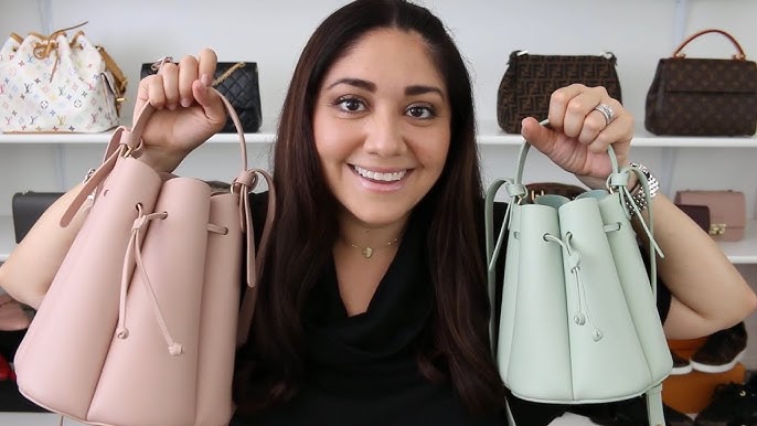 Polène Handbag Review and Comparison