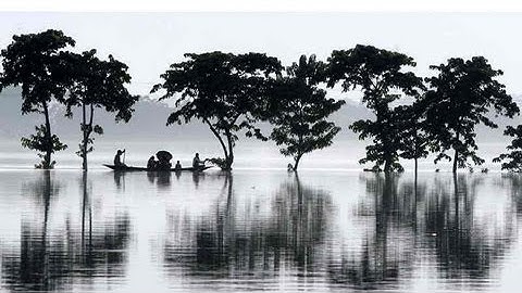 Effects of Monsoon Season on India (Dispatch)