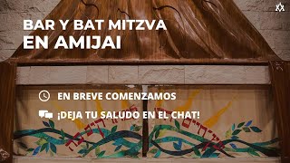Bar y Bat en AMIJAI
