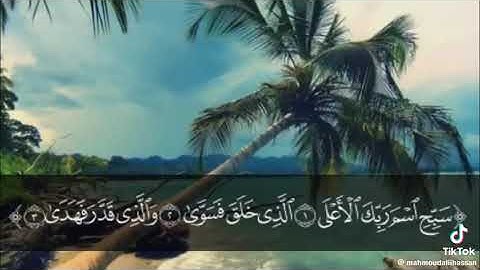 ما تيسر من سوره الاعلى للشيخ محمود علي حسن رائع جدا 
