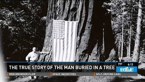 The true story of the man buried in a giant sequoi...