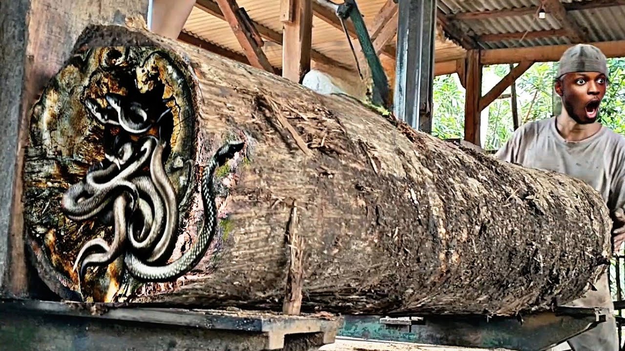 really awesome!!! sawing teak wood at the sawmill - YouTube