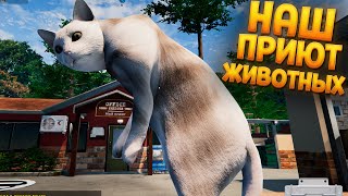 НАШ ПРИЮТ ЖИВОТНЫХ ( Animal Shelter )