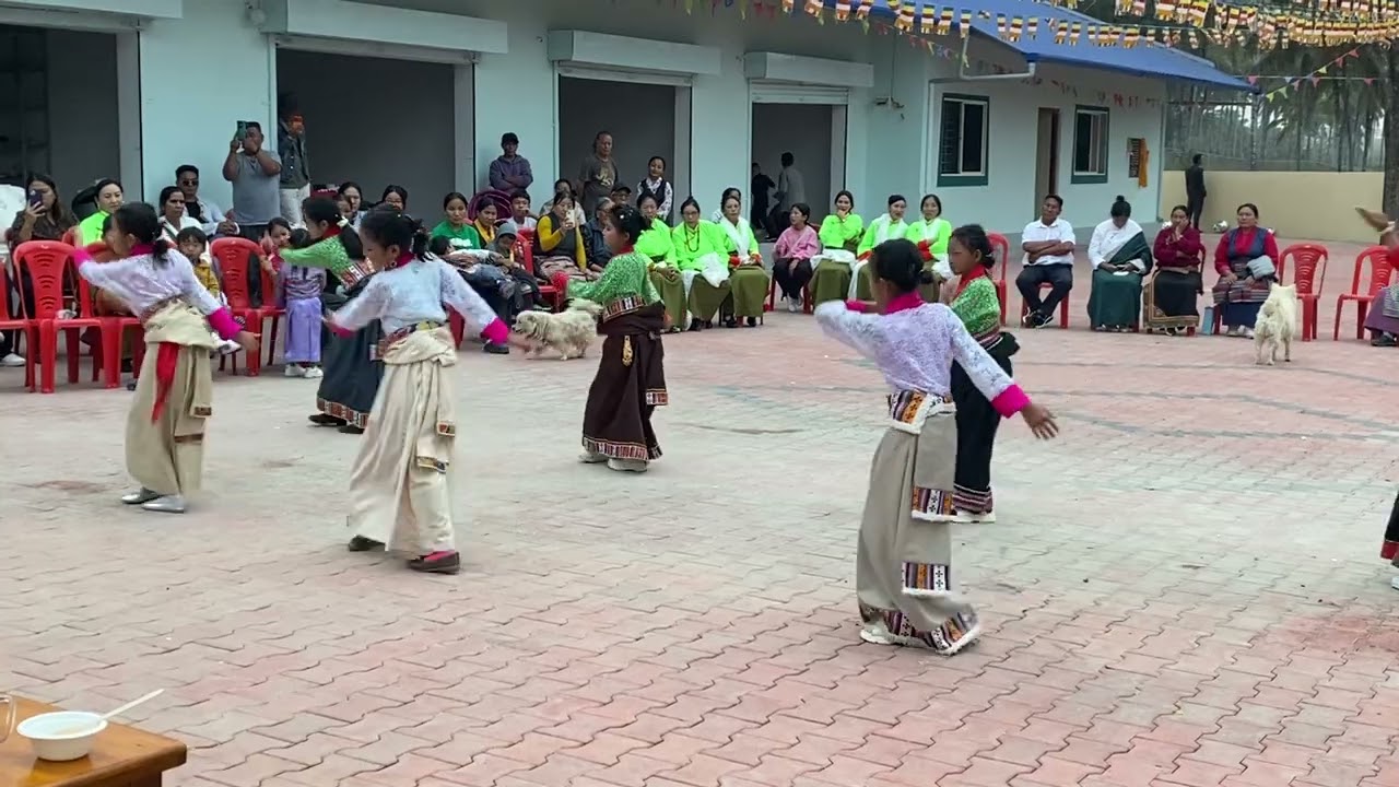 ཞི་བདེ་གྲོང་སྡེའི་བུ་མོ་ཆུང་ཆུང་ཚོའི་ཞབས་བྲོBylakuppe camp 7 Gorshey performance cute girls 