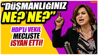 P’li Vekil Gülistan Kılıç Koçyiğit Bağıra Bağıra Iktidara Meydan Okudu “Gelin Açığa Çıkaralım”