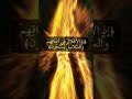 تلاوة خاشعة من سورةغافرالآية٧٠بصوت سعد الغامدي حالات واتس كذبوا الأغلال أعناقهم الحميم النار ضلوا