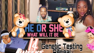 Finding out the Baby Gender + 14 week Genetic Testing Results & 1st Trimester Footage