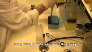 Filter Sterilizing