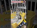 😂❤️ #cats#funny#Popular#Cute pet