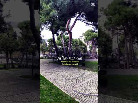 أكتب شئ توجر عليه لا تنسو اشتراك  اكسبلور اقنباسات  تصميمي روعات لايك