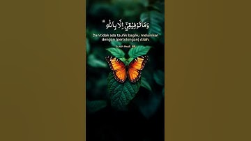 #تلاوة_خاشعة #تلاوة_هادئة #إسلام_صبحي #اكتب_شي_تؤجر_عليه #اكسبلور #لايك #love