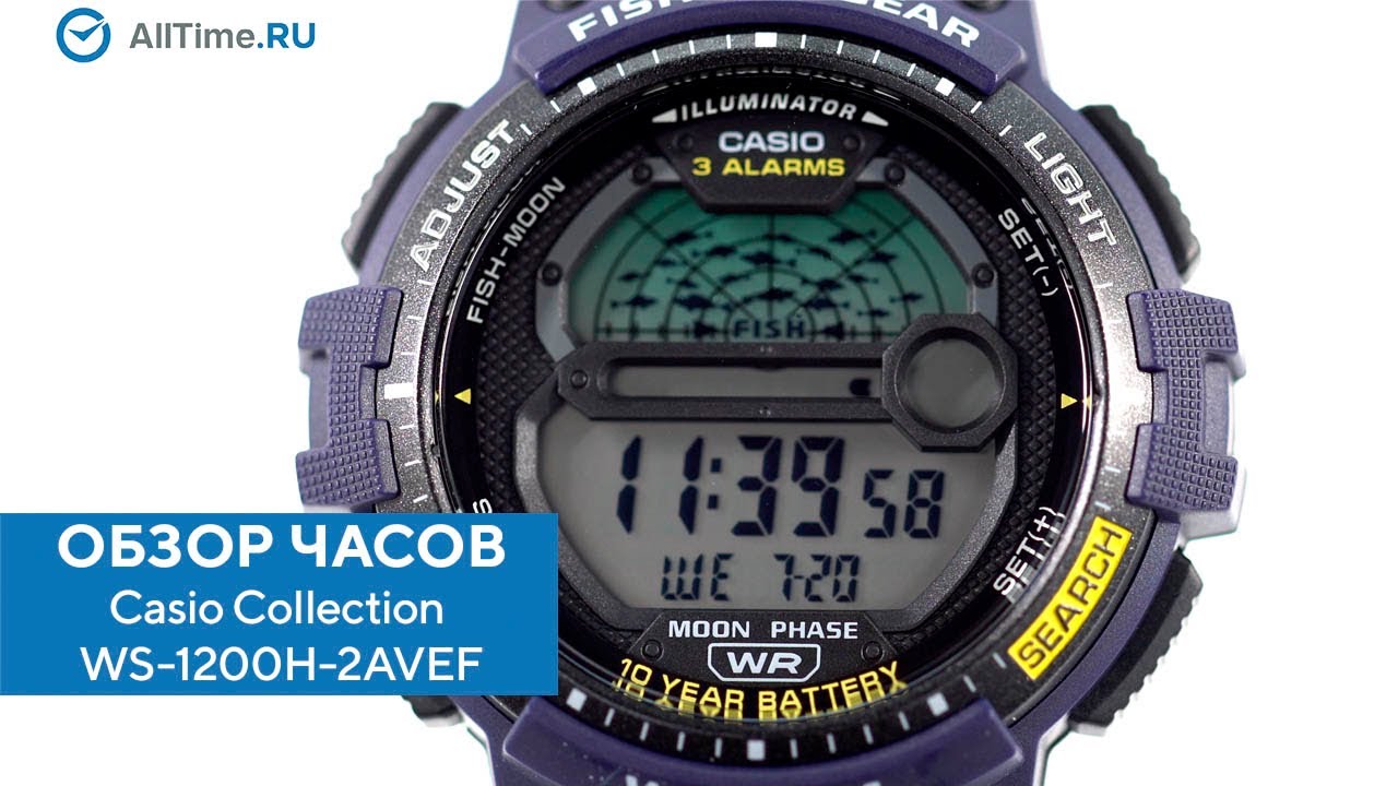 Видео обзоры Casio WS-1200H-2AVEF на CMP24 - SKU6782886
