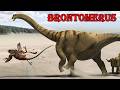 brontomerus
