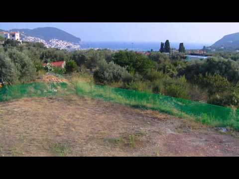 Skopelos - Alexandros