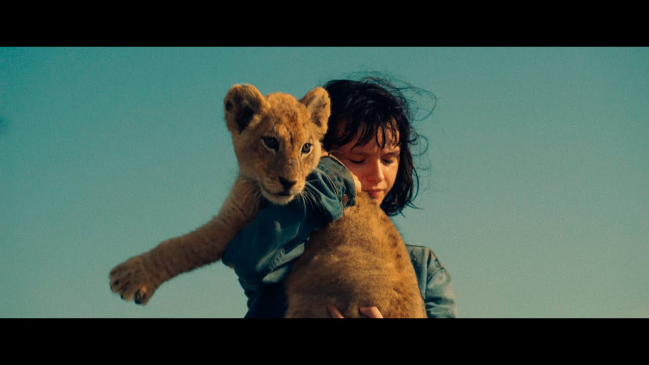 King, mi pequeño rey Trailer español YouTube