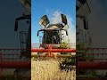CLAAS Lexion Power: Harvesting Golden Wheat in 4K 🚜🌾