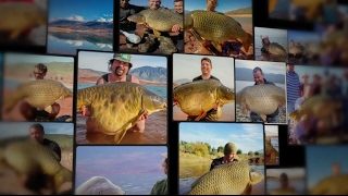 Morocco Carp - Carpers Paradise! 👍