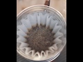 melodrip