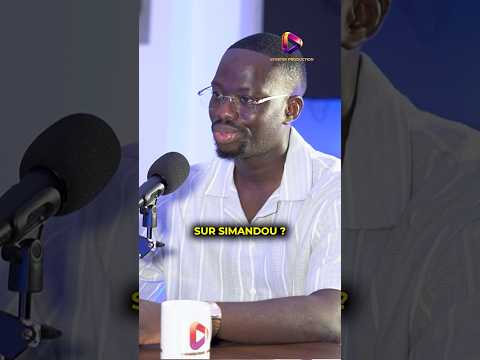 Quel regard faut-il vraiment porter sur le programme Simandou 2040 ? 👀