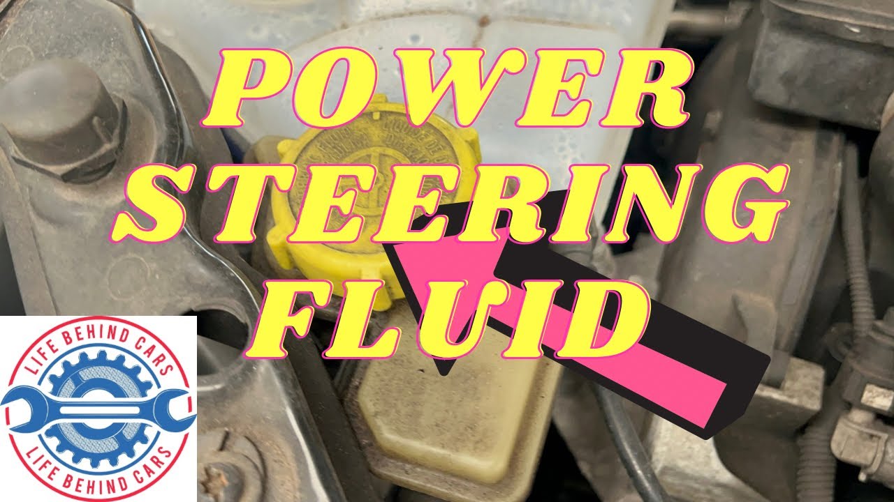 Ford Fusion Power Steering Fluid