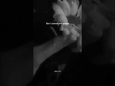 And The Stars Were Falling Peacefully Kamin Lyrics 