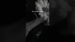 And the stars were falling peacefully ✨️ 😌  #kamin lyrics