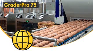 Egg Grading and Packing Machine - GraderPro 75 - SANOVO TECHNOLOGY GROUP.