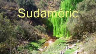 Video thumbnail of "Sudamerica: El Retorno de la Aurora. Arco Iris"