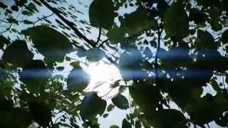 Crysis - CryZENx Shader [Xzero modified] + Download link