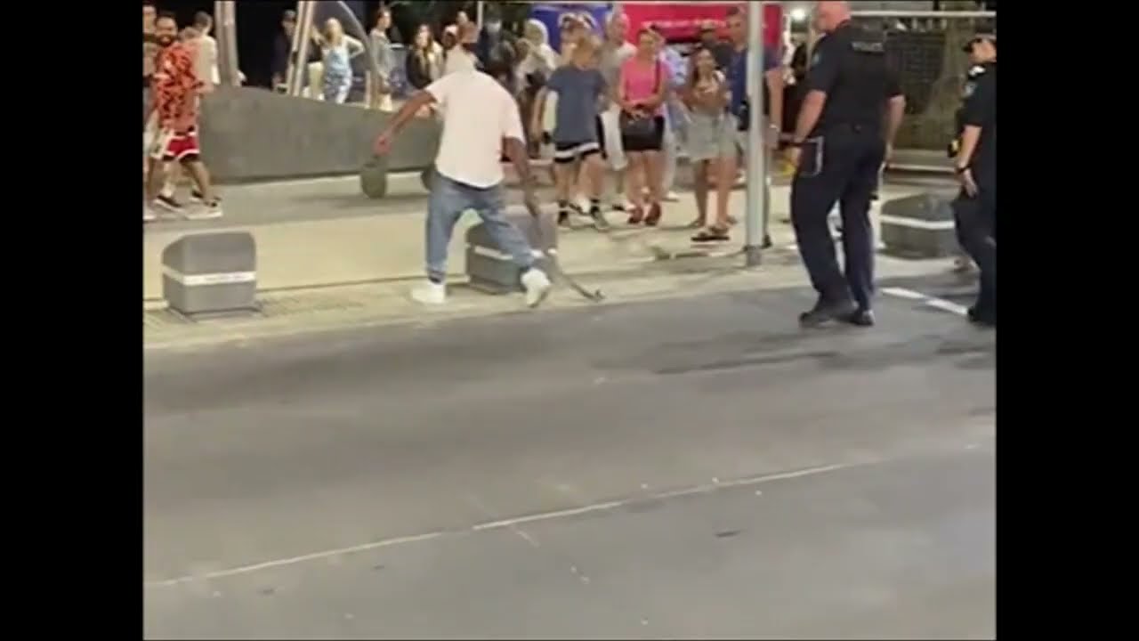 Snake dragged off a main road to safety