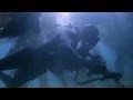 Navy SEAL Operations and Training Quiz
