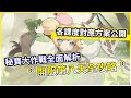 杖劍傳說 坎斯汀之約 開服第八天全攻略 秘寶大作戰全面解析 各課度對應方案公開 微笑 杖劍傳說 坎斯汀之約 開服第八天全攻略 秘寶大作戰全面解析 各課度對應方案公開 微笑