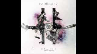 Assemblage 23 - The Noise Inside My Head.