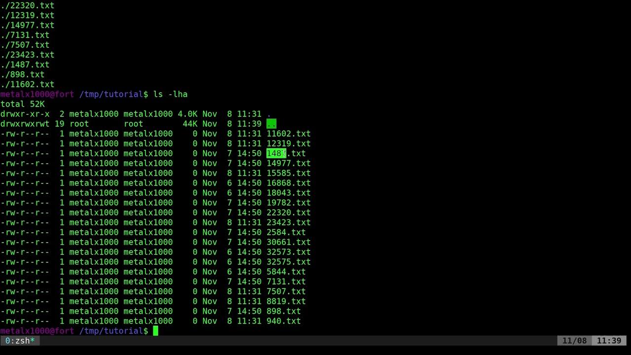 Find all Files Modified Today Linux Shell YouTube