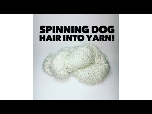 How to Spin Dog Hair-preparing and spinning dog hair-pet hair on a spinning  wheel - handspun yarn blog-Crafty Housewife Yarns & Fiber Arts