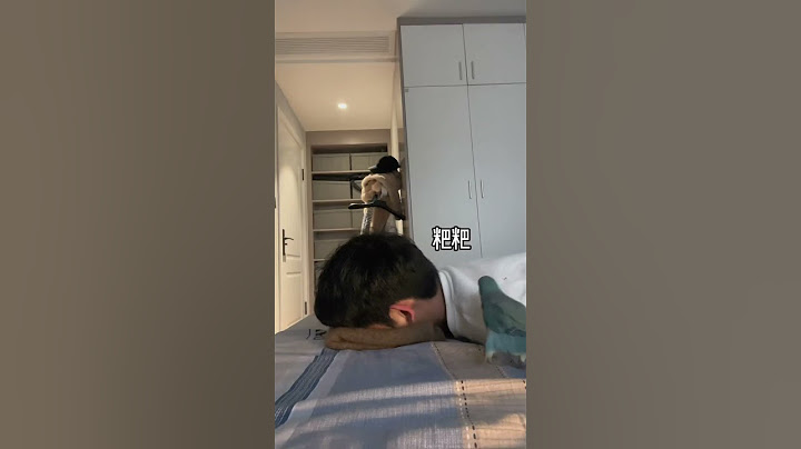 小鸟呀，这次换你来摸摸我脑袋吧#这次换我来为你付出 #鹦鹉 #萌宠 #萌宠 #治愈 #精神支柱#shorts